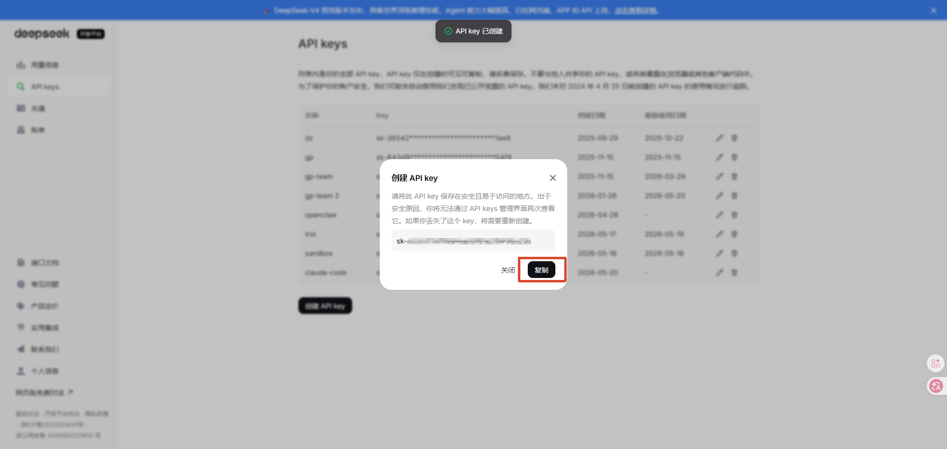 API Key 生成后的截图